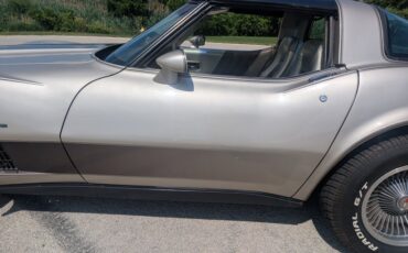 Chevrolet-Corvette-1982-Silver-Beige-Silver-Beige-8