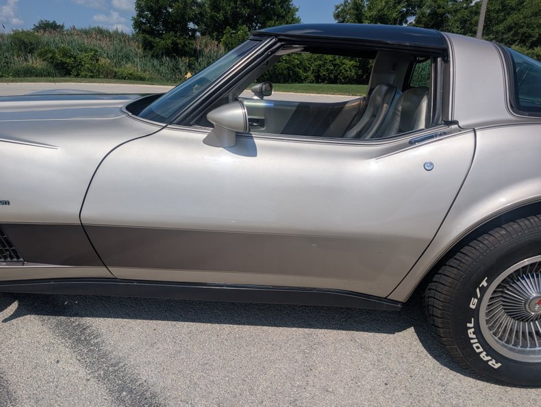Chevrolet-Corvette-1982-Silver-Beige-Silver-Beige-8