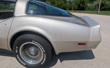 Chevrolet-Corvette-1982-Silver-Beige-Silver-Beige-9