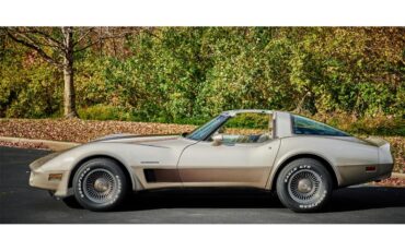 Chevrolet-Corvette-1982-Silver-Beige-silver-beige-leather-1