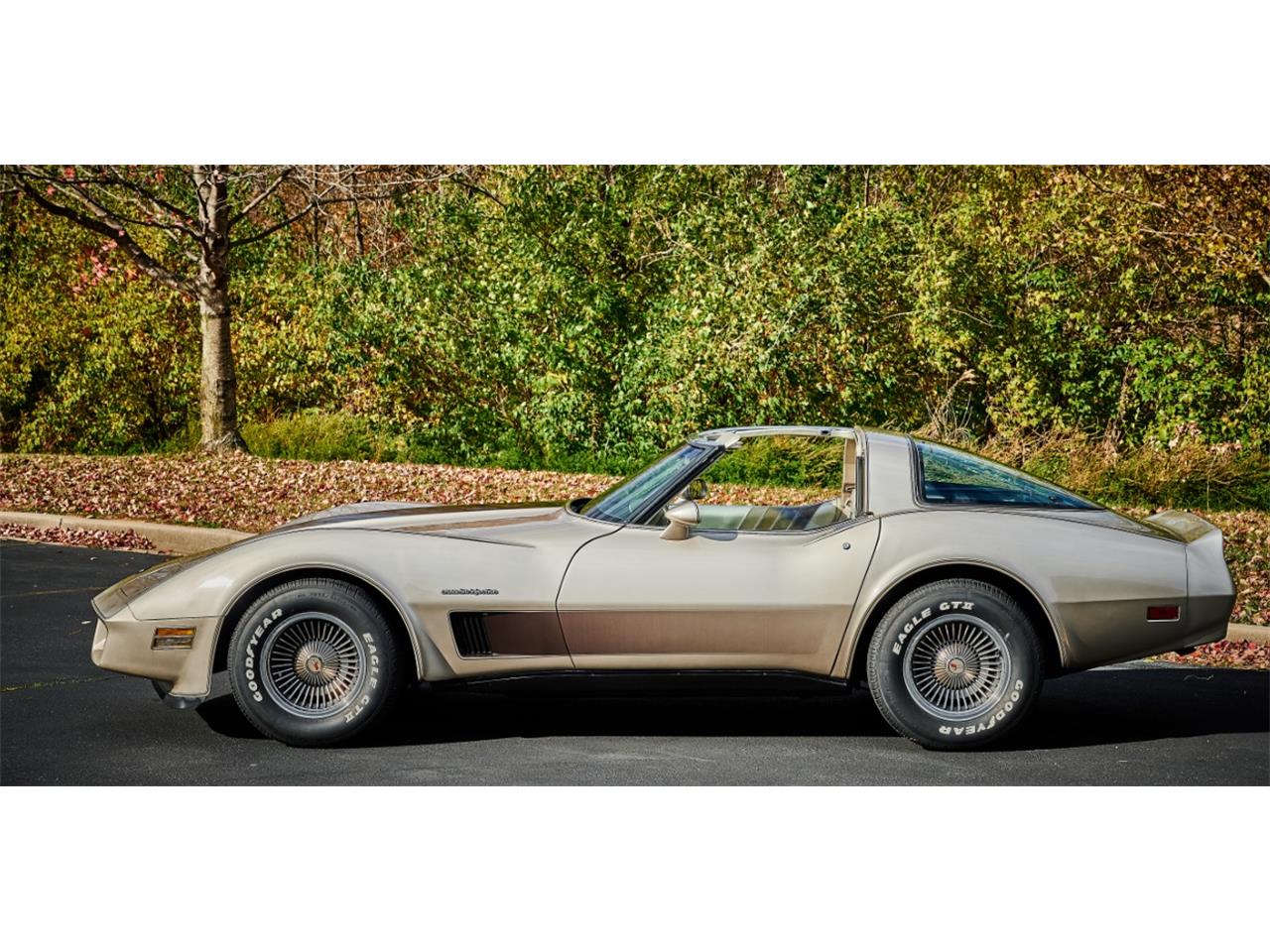 Chevrolet-Corvette-1982-Silver-Beige-silver-beige-leather-1