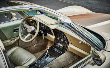 Chevrolet-Corvette-1982-Silver-Beige-silver-beige-leather-10