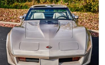 Chevrolet-Corvette-1982-Silver-Beige-silver-beige-leather-3