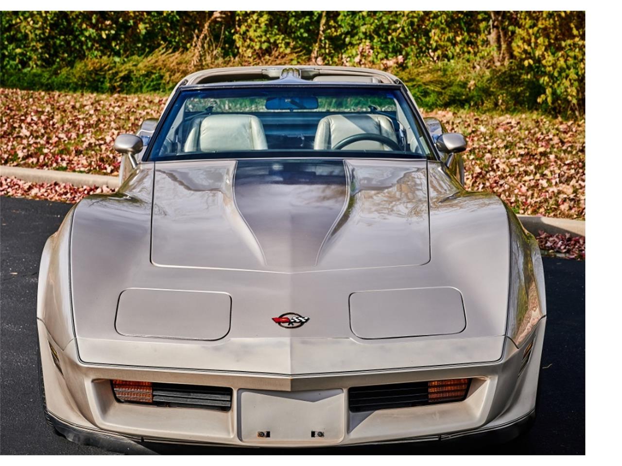 Chevrolet-Corvette-1982-Silver-Beige-silver-beige-leather-3