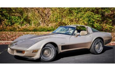 Chevrolet-Corvette-1982-Silver-Beige-silver-beige-leather