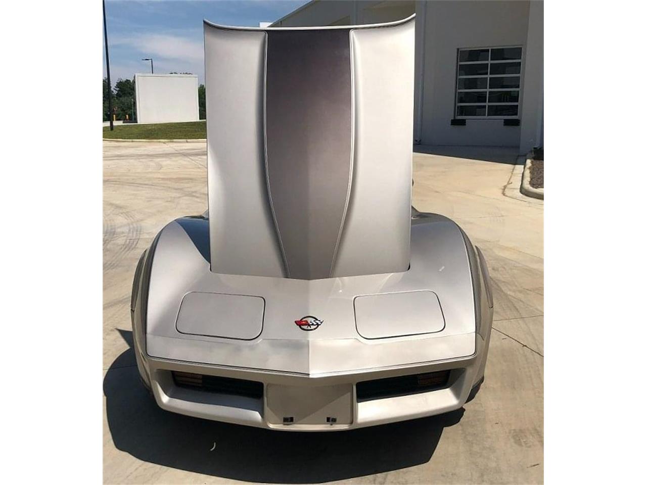 Chevrolet-Corvette-1982-Silver-Beige-silver-beige-leather-5