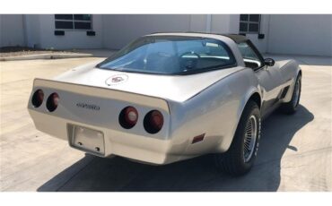 Chevrolet-Corvette-1982-Silver-Beige-silver-beige-leather-6