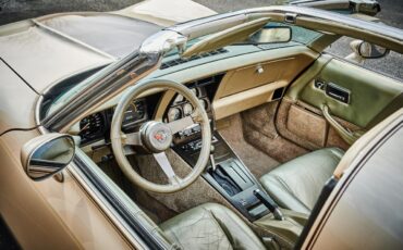 Chevrolet-Corvette-1982-Silver-Beige-silver-beige-leather-7