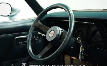Chevrolet-Corvette-1982-Silver-Blue-Dark-Blue-15