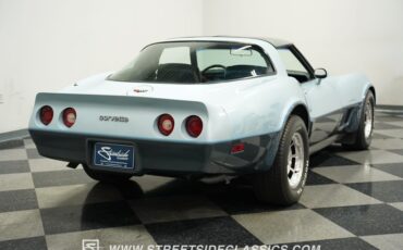 Chevrolet-Corvette-1982-Silver-Blue-Dark-Blue-18