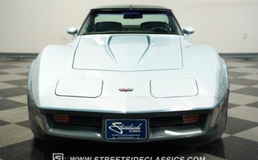 Chevrolet-Corvette-1982-Silver-Blue-Dark-Blue-24