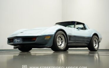 Chevrolet-Corvette-1982-Silver-Blue-Dark-Blue-27