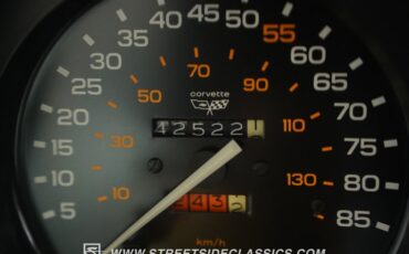 Chevrolet-Corvette-1982-Silver-Blue-Dark-Blue-43
