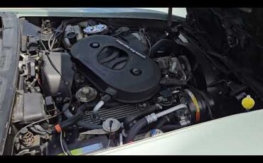 Chevrolet-Corvette-1982-Silver-Green-Grey-1