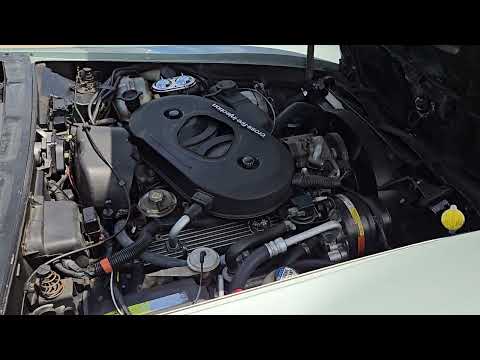 Chevrolet-Corvette-1982-Silver-Green-Grey-1