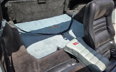 Chevrolet-Corvette-1982-Silver-Green-Grey-14