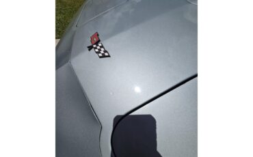 Chevrolet-Corvette-1982-Silver-Green-Grey-16