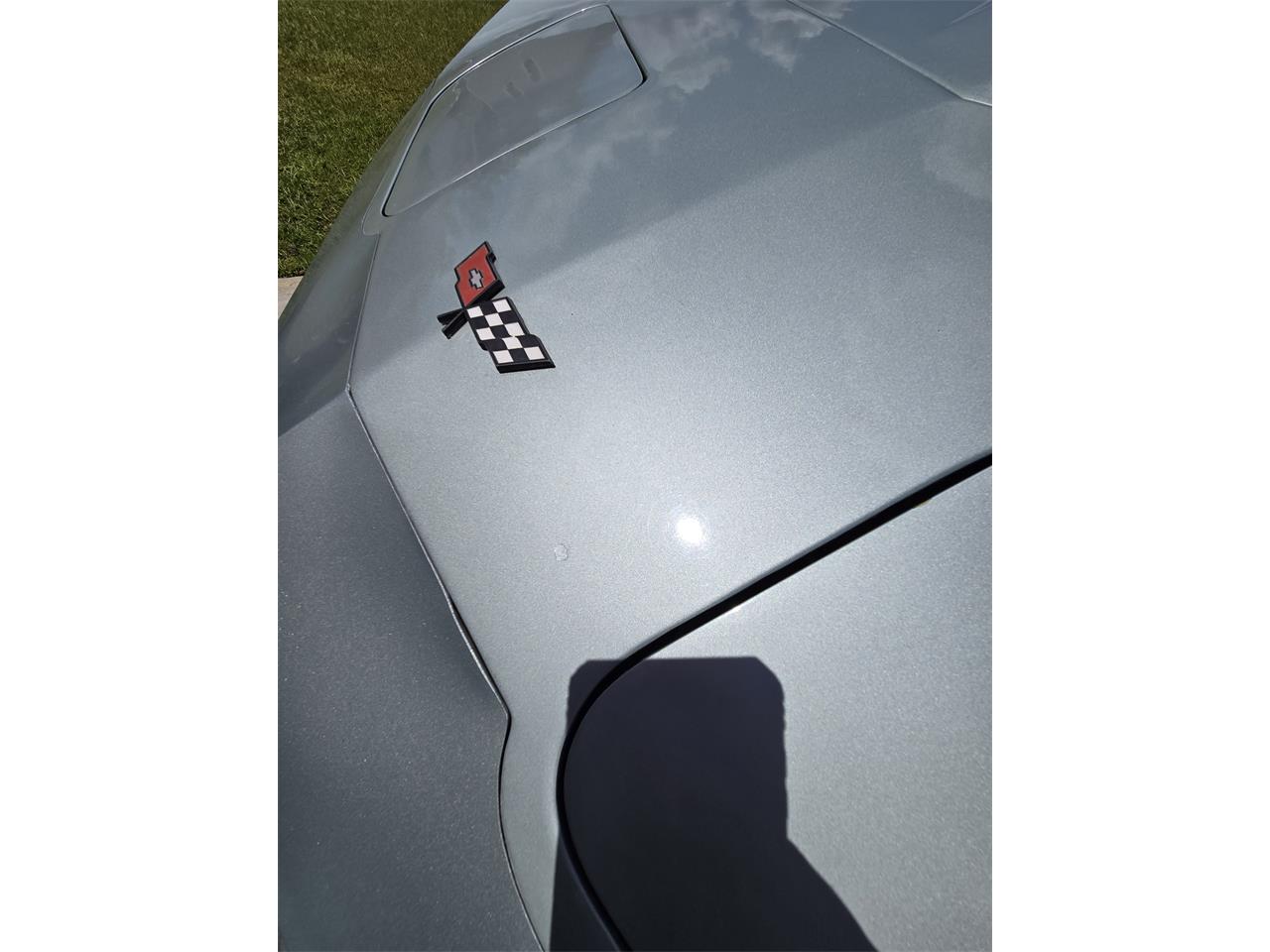 Chevrolet-Corvette-1982-Silver-Green-Grey-16