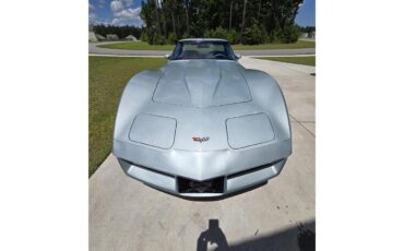 Chevrolet-Corvette-1982-Silver-Green-Grey-2