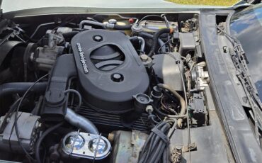 Chevrolet-Corvette-1982-Silver-Green-Grey-20