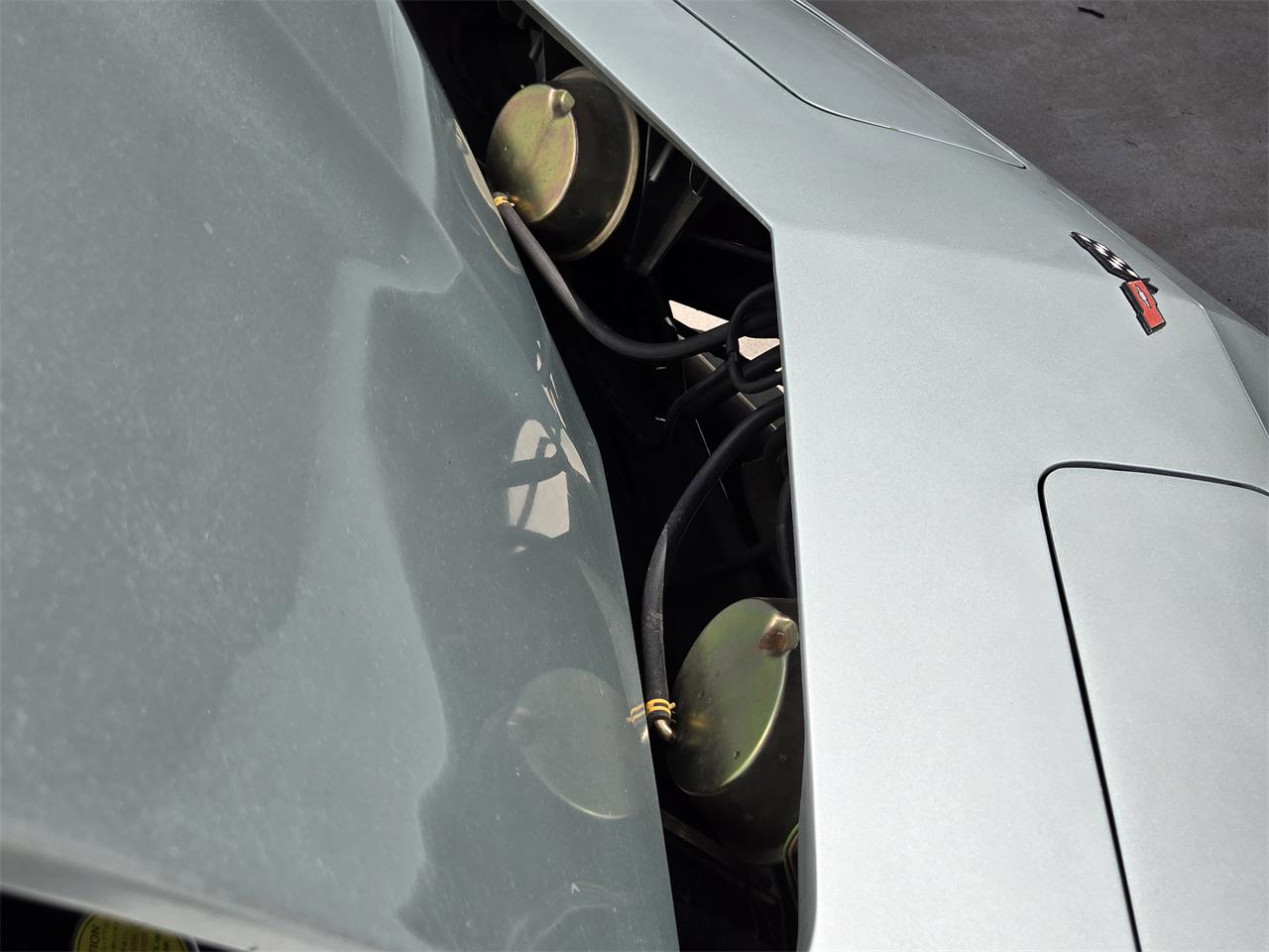 Chevrolet-Corvette-1982-Silver-Green-Grey-21