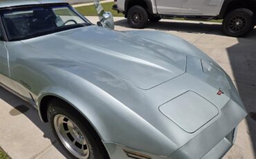 Chevrolet-Corvette-1982-Silver-Green-Grey-3