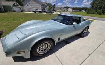 Chevrolet-Corvette-1982-Silver-Green-Grey