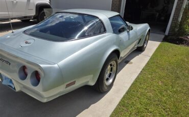 Chevrolet-Corvette-1982-Silver-Green-Grey-4