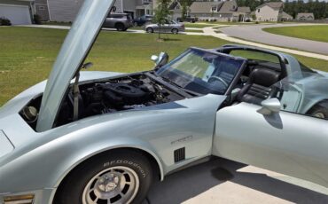 Chevrolet-Corvette-1982-Silver-Green-Grey-5