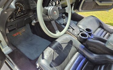 Chevrolet-Corvette-1982-Silver-Green-Grey-7