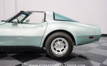 Chevrolet-Corvette-1982-Silver-Green-Silver-Green-11