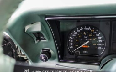 Chevrolet-Corvette-1982-Silver-Green-Silver-Green-12