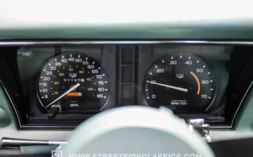Chevrolet-Corvette-1982-Silver-Green-Silver-Green-13