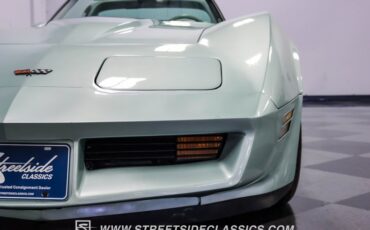 Chevrolet-Corvette-1982-Silver-Green-Silver-Green-14