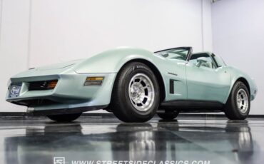 Chevrolet-Corvette-1982-Silver-Green-Silver-Green-15