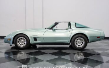 Chevrolet-Corvette-1982-Silver-Green-Silver-Green-17