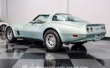 Chevrolet-Corvette-1982-Silver-Green-Silver-Green-18