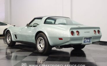 Chevrolet-Corvette-1982-Silver-Green-Silver-Green-19