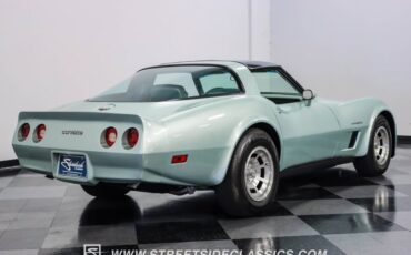 Chevrolet-Corvette-1982-Silver-Green-Silver-Green-22