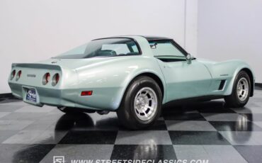 Chevrolet-Corvette-1982-Silver-Green-Silver-Green-23