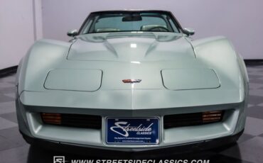 Chevrolet-Corvette-1982-Silver-Green-Silver-Green-28