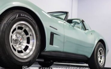 Chevrolet-Corvette-1982-Silver-Green-Silver-Green-3