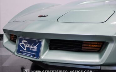 Chevrolet-Corvette-1982-Silver-Green-Silver-Green-30