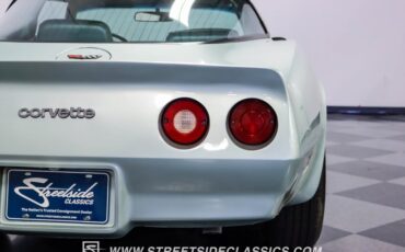 Chevrolet-Corvette-1982-Silver-Green-Silver-Green-34