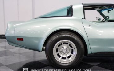 Chevrolet-Corvette-1982-Silver-Green-Silver-Green-37