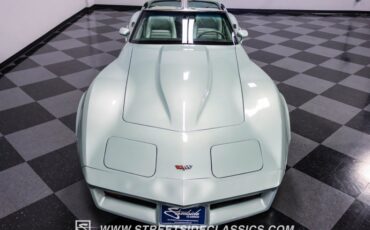 Chevrolet-Corvette-1982-Silver-Green-Silver-Green-39
