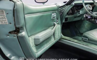 Chevrolet-Corvette-1982-Silver-Green-Silver-Green-4