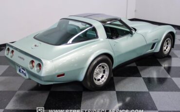 Chevrolet-Corvette-1982-Silver-Green-Silver-Green-41