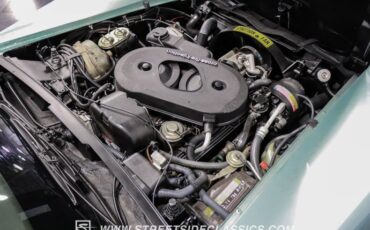 Chevrolet-Corvette-1982-Silver-Green-Silver-Green-45