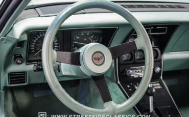 Chevrolet-Corvette-1982-Silver-Green-Silver-Green-7